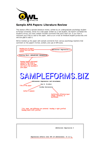 Literature Review Example 1 pdf free